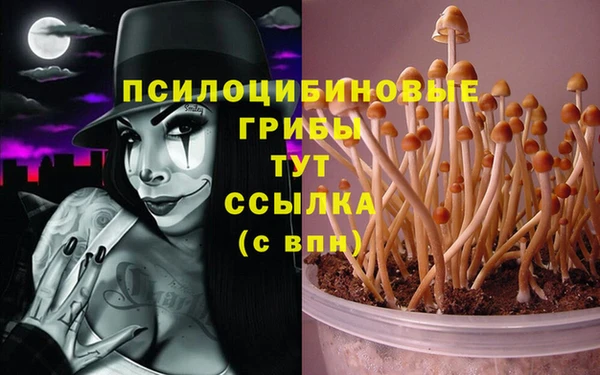 дистиллят марихуана Богородск