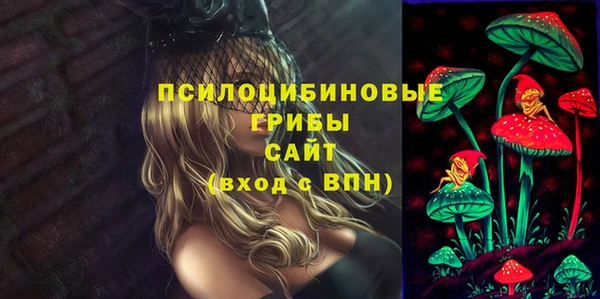 прущий лед Белокуриха