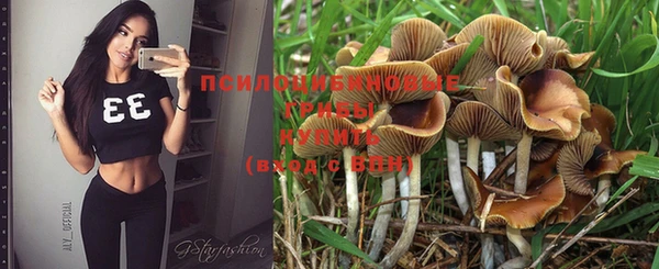 кокаин колумбия Богданович